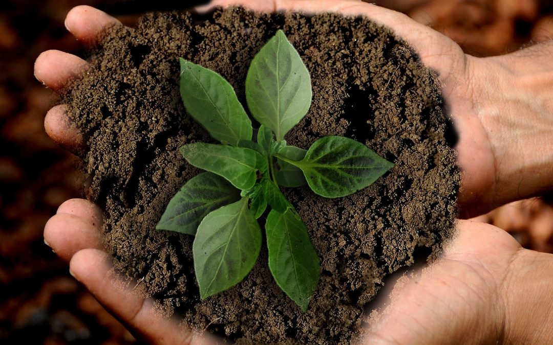 Economia circolare e consumo eco-sostenibile: partecipa al concorso per il miglior videoclip entro il 31 marzo