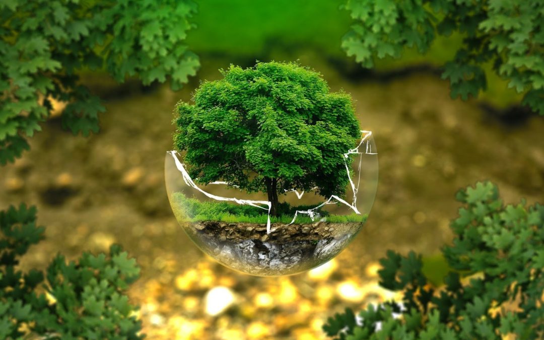 Nasce il MiTE, il Ministero della Transizione ecologica